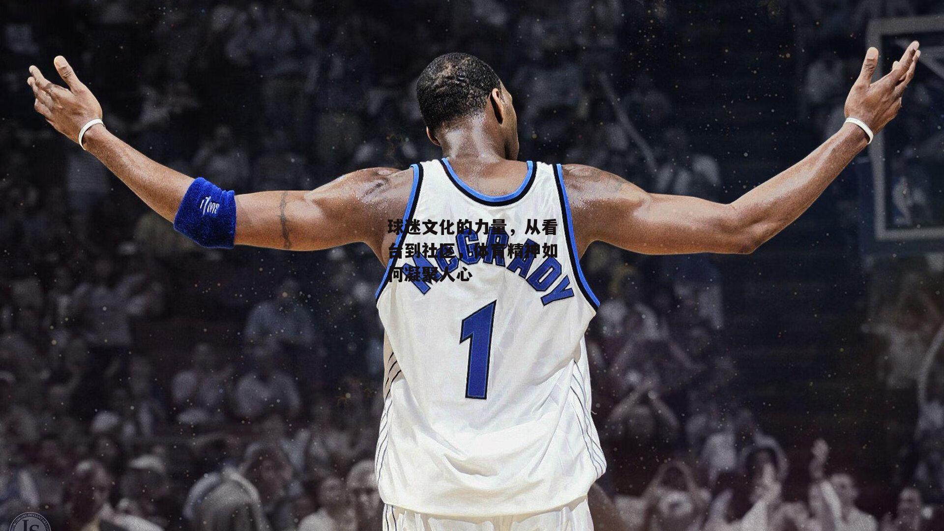 球迷文化的力量,从看台到社区,体育精神如何凝聚人心