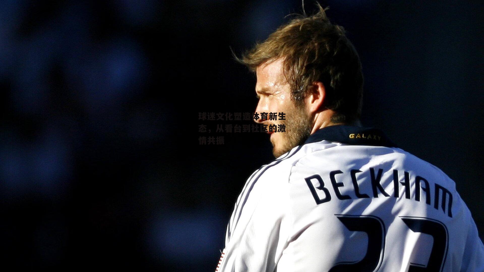 球迷文化塑造体育新生态,从看台到社区的激情共振