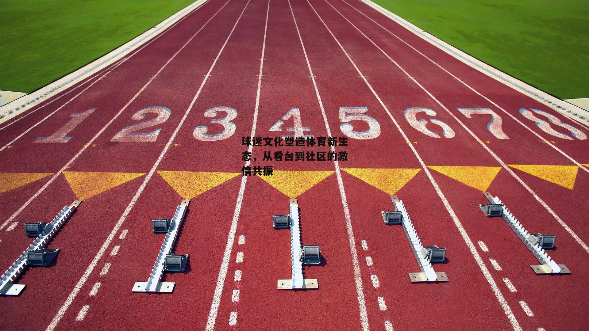 球迷文化塑造体育新生态,从看台到社区的激情共振