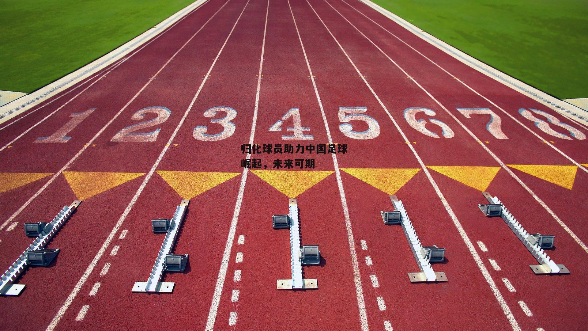 归化球员助力中国足球崛起，未来可期