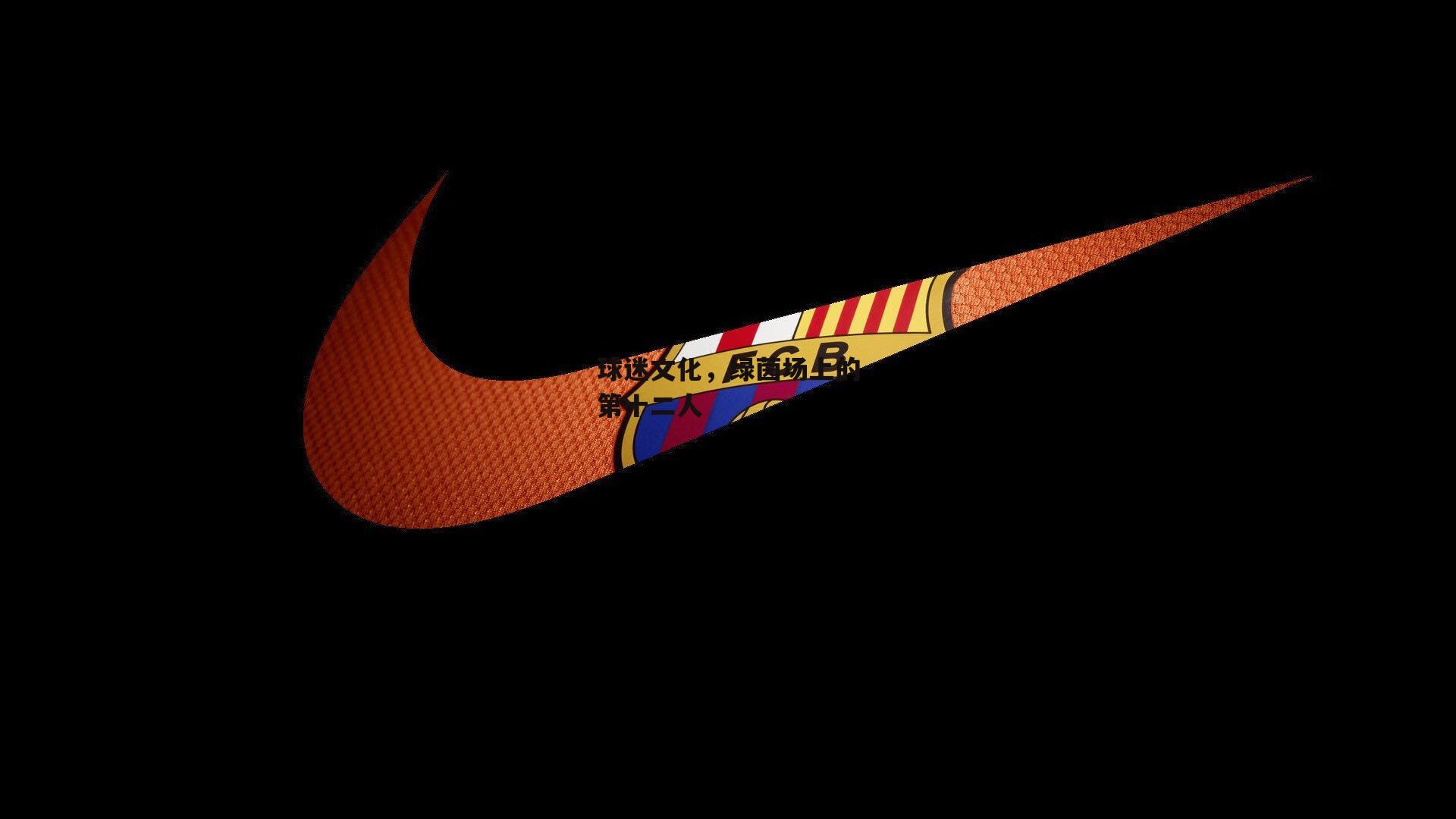 球迷文化，绿茵场上的第十二人